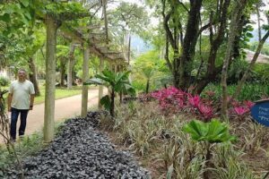 Botanical Garden of Rio de Janeiro
