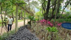 Botanical Garden of Rio de Janeiro