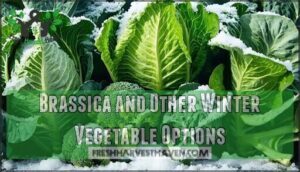brassica and other winter vegetable options