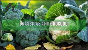 brassicas and broccoli
