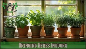 bringing herbs indoors