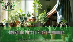bringing potted plants indoors