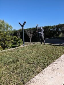 buxus paisajismo - Green deco