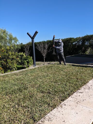 buxus paisajismo - Green deco