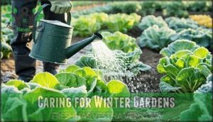 caring for winter gardens