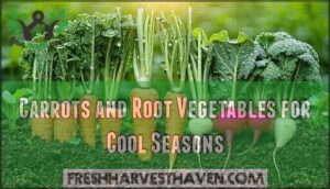 carrots and root vegetables for cool seasons
