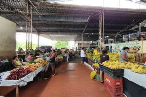Central Market Municipio