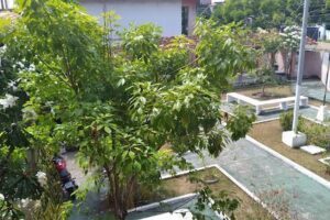 Centro de Educação Profissional Graziela Reis de Souza