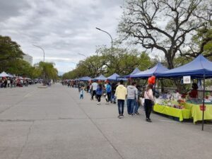 Centro Jujuy