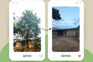 CERRADO • ARBORISTAS | Corte e poda em Brasília DF | Poda técnica | Supressão | Análise de riscos | Tratamento