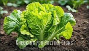 checking for bolting signs