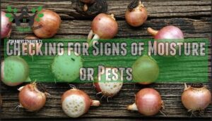 checking for signs of moisture or pests