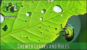 chewed leaves and holes