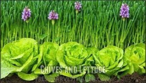 chives and lettuce