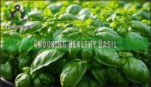 choosing healthy basil