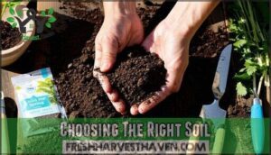 choosing the right soil