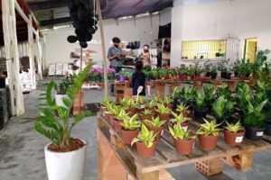 Ciagro Flora e Reflorestamento