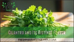 cilantro and its distinct flavor
