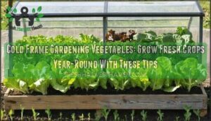 cold frame gardening vegetables