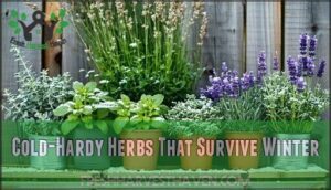 cold-hardy herbs that survive winter