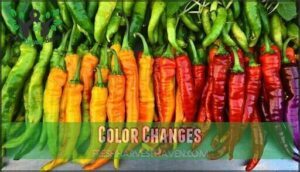 color changes