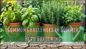 common challenges in summer herb gardening