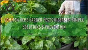 common herb garden pests diseases