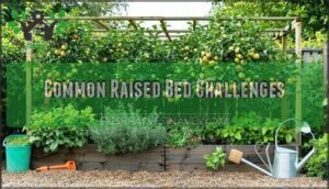 common raised bed challenges