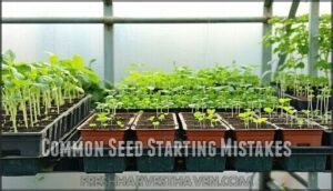common seed starting mistakes