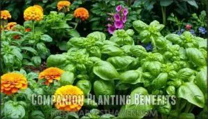 companion planting benefits