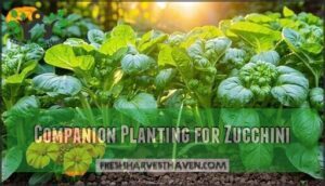 companion planting for zucchini
