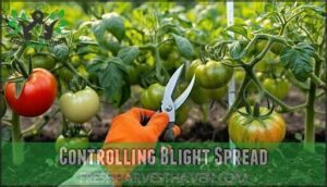 controlling blight spread