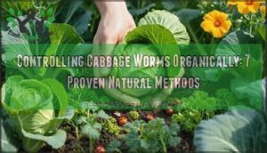 controlling cabbage worms organically