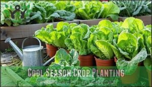 cool season crop planting