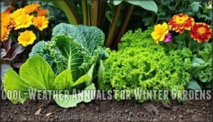 cool-weather annuals for winter gardens