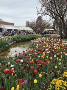 Corbett Gardens