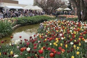 Corbett Gardens