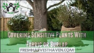 covering sensitive plants with fabric or burlap