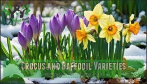 crocus and daffodil varieties