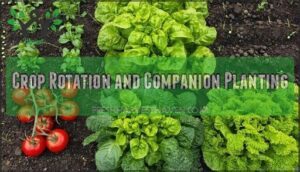 crop rotation and companion planting