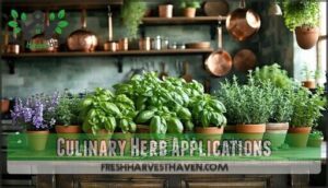 culinary herb applications