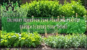 culinary herbs for zone planting