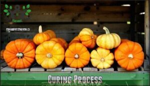 curing process