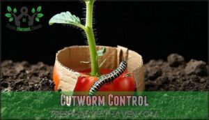 cutworm control