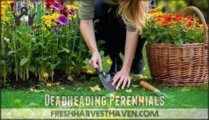 deadheading perennials