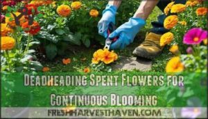 deadheading spent flowers for continuous blooming