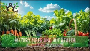 dietary fiber and gut health