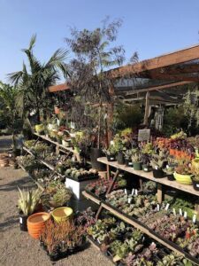 Dig Gardens Aptos