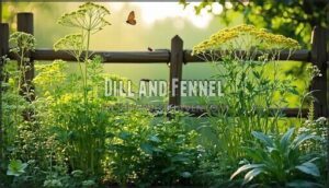dill and fennel