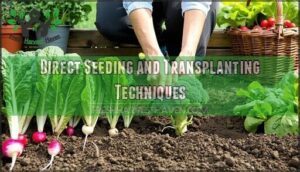 direct seeding and transplanting techniques
